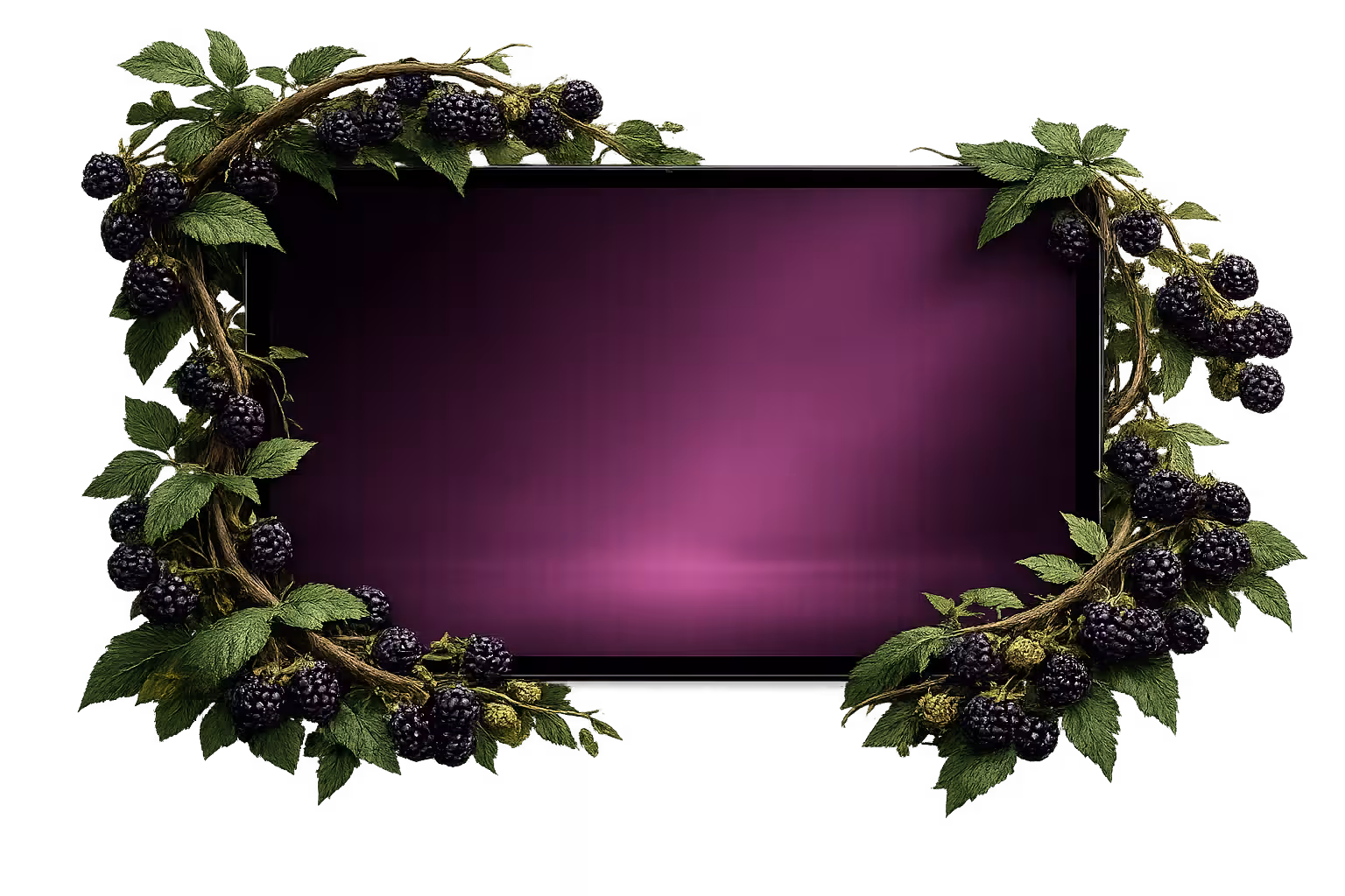 Blackberry Jam scene